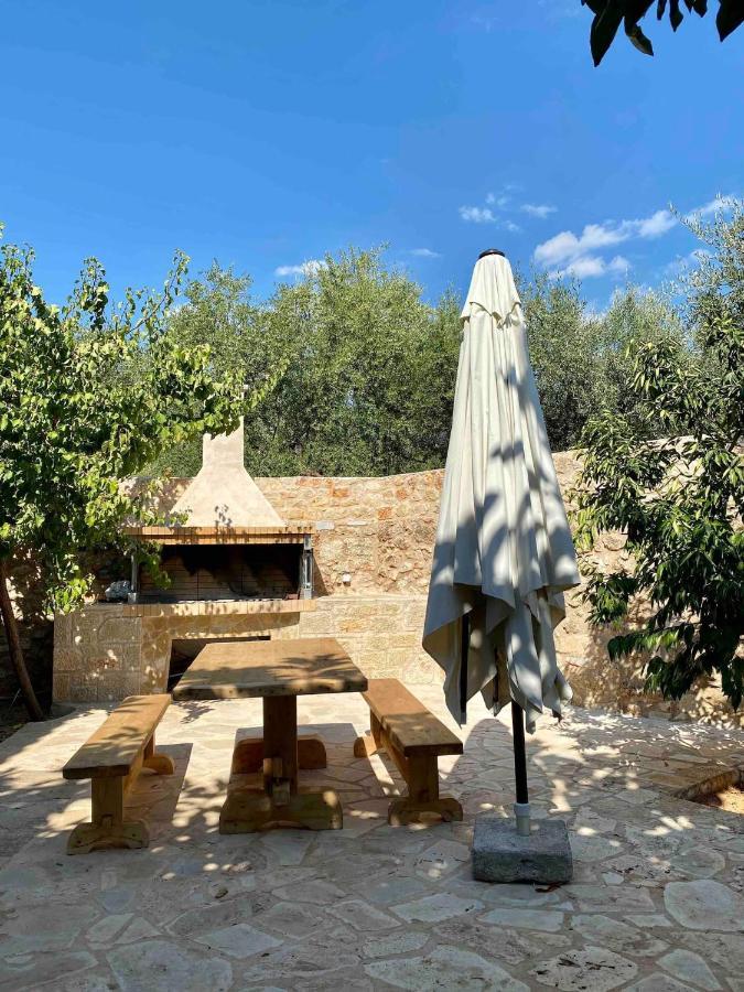 Magnificent, Authentic Private Villa And The Guest House 卡德哈米利 外观 照片