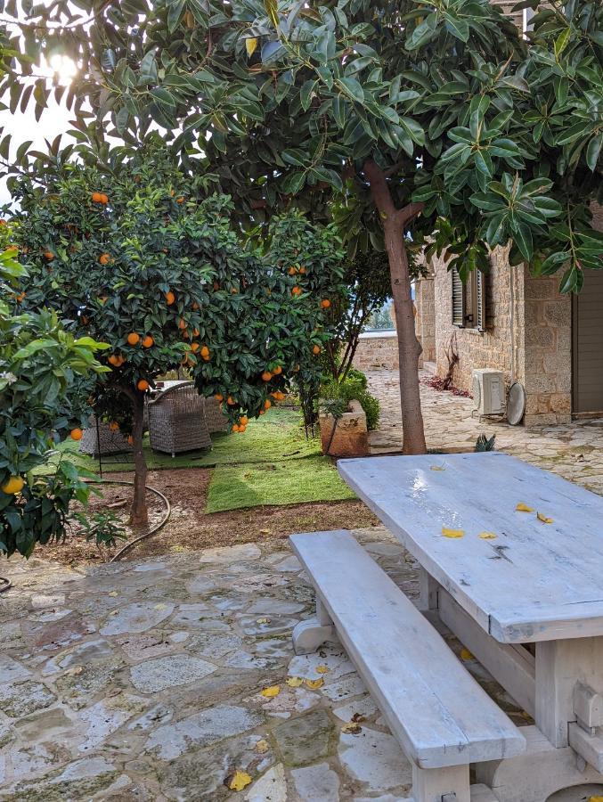 Magnificent, Authentic Private Villa And The Guest House 卡德哈米利 外观 照片